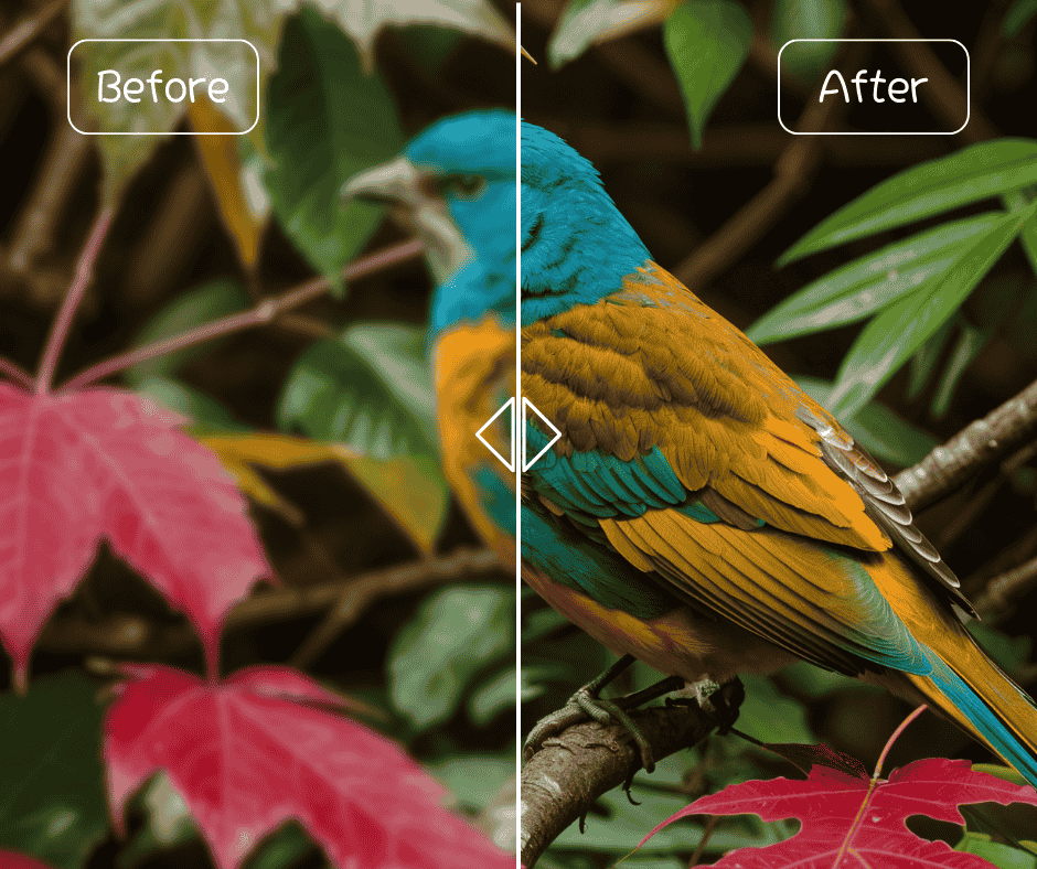 One-Click Photo Enhancer